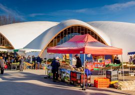 Salon des Vins à Vaux-sur-Mer - Photo 1