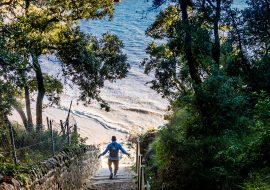 Salon des Vins à Vaux-sur-Mer - Photo 3