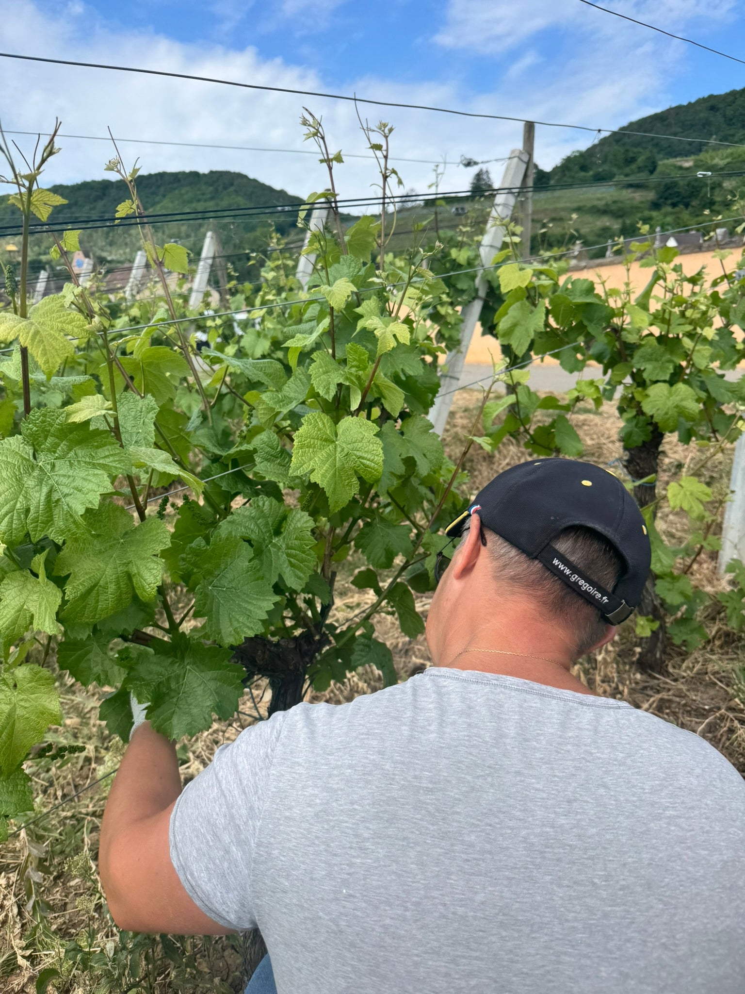 Salon des Vins (Vins Schneider) - Photo 4