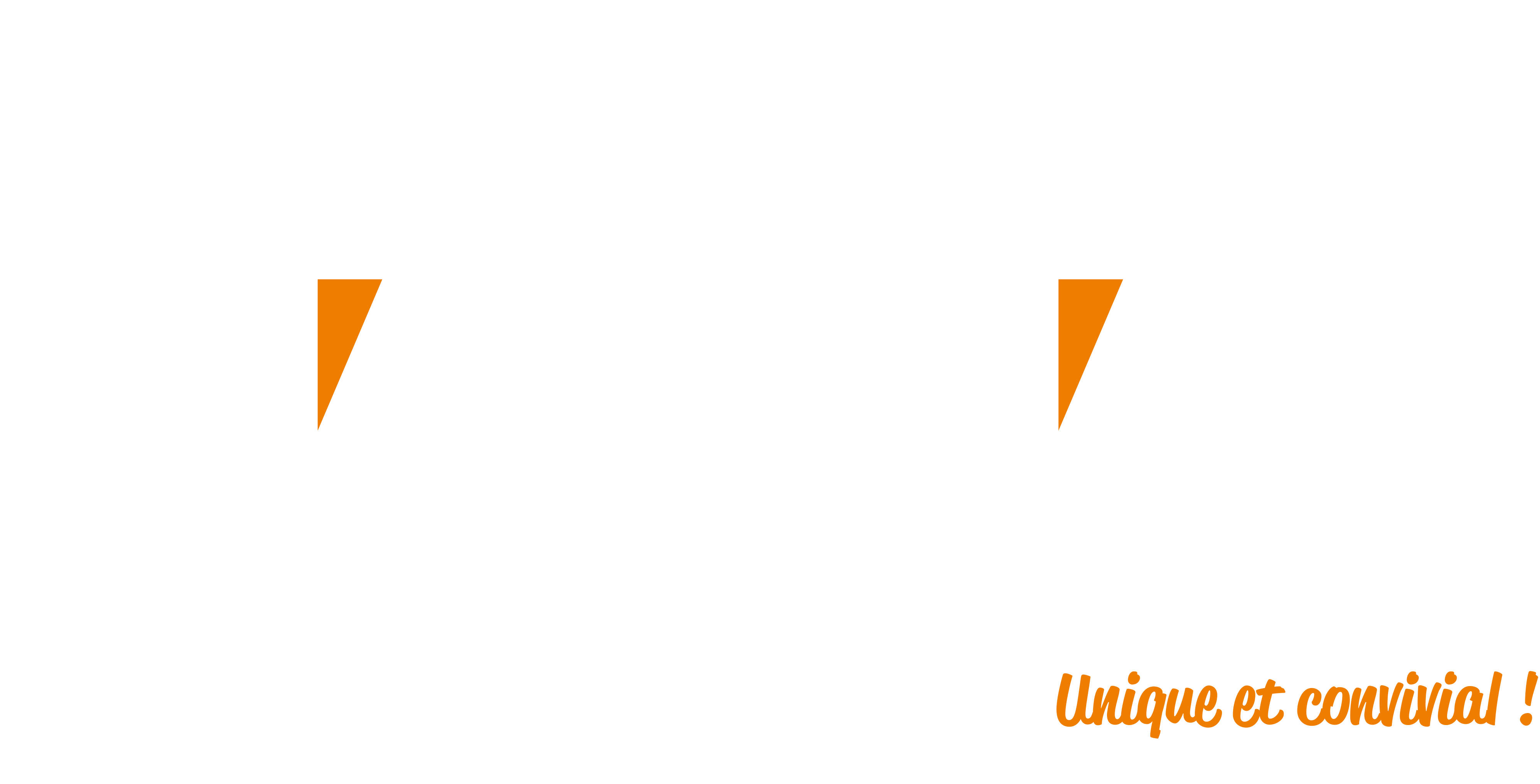 Logo Salon Viti Vini