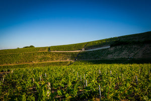 Photo de Albert Bichot