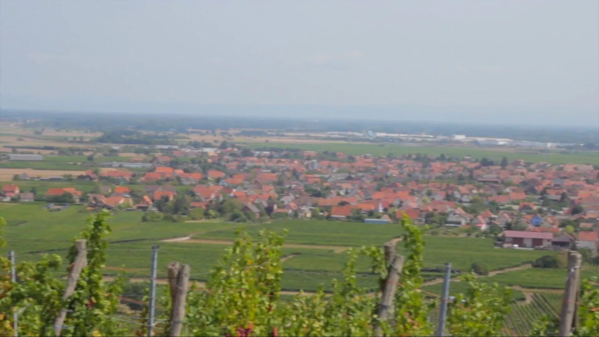 Photo de ALSACE FREY SOHLER