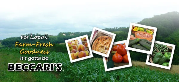 Azienda Agricola Beccaris