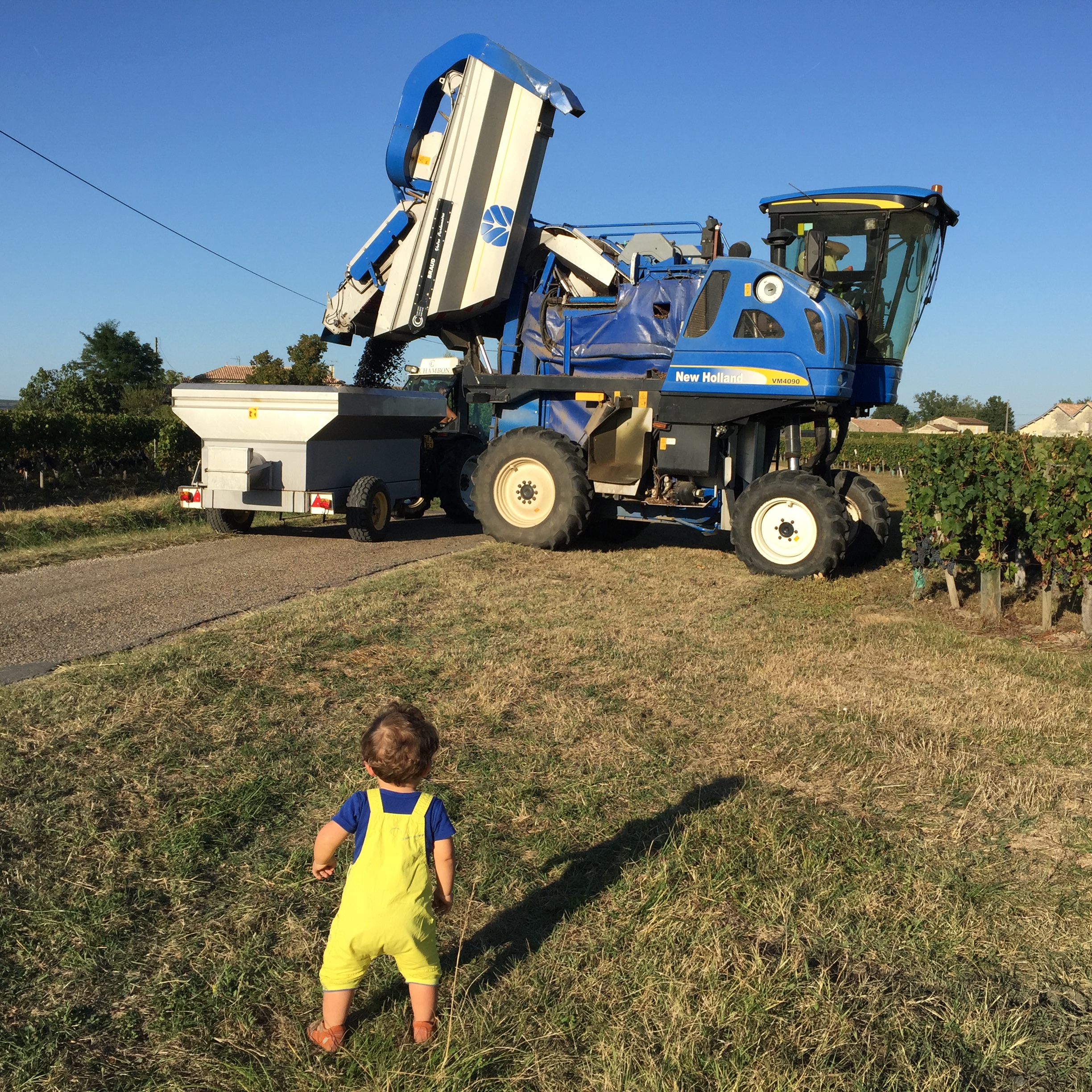 BARRAIL BELLEGRAVE BORDEAUX