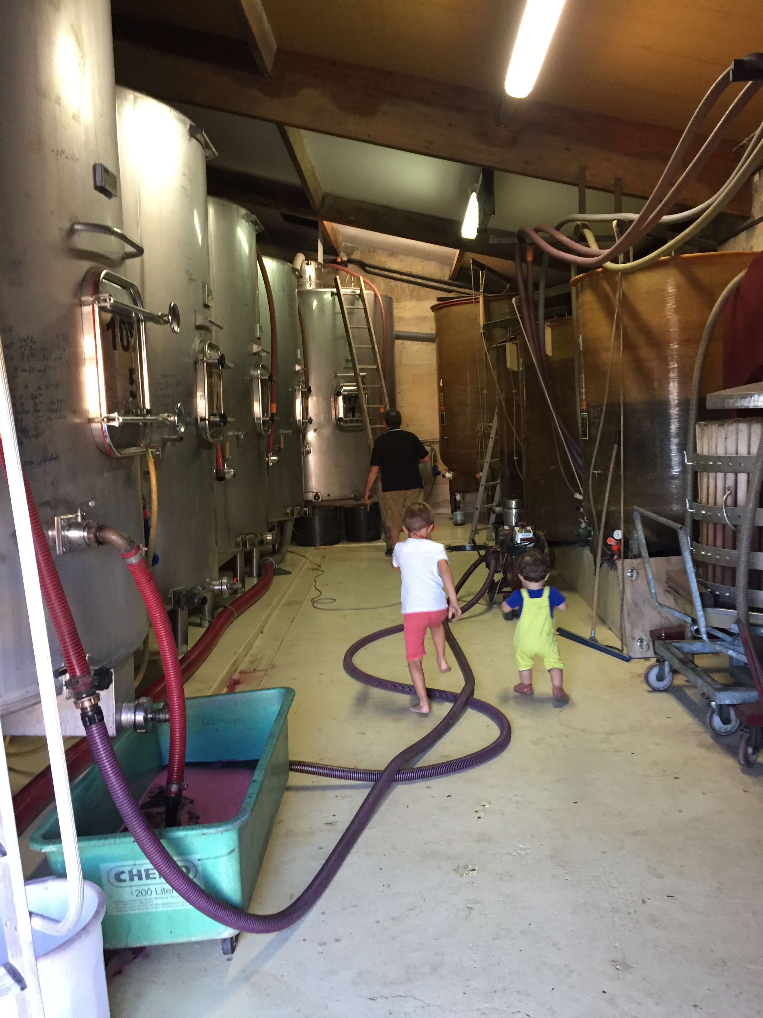 Photo de BARRAIL BELLEGRAVE