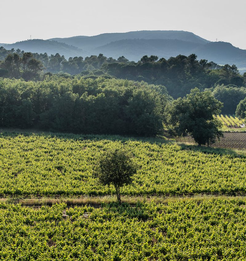BASTIDE DE BLACAILLOUX