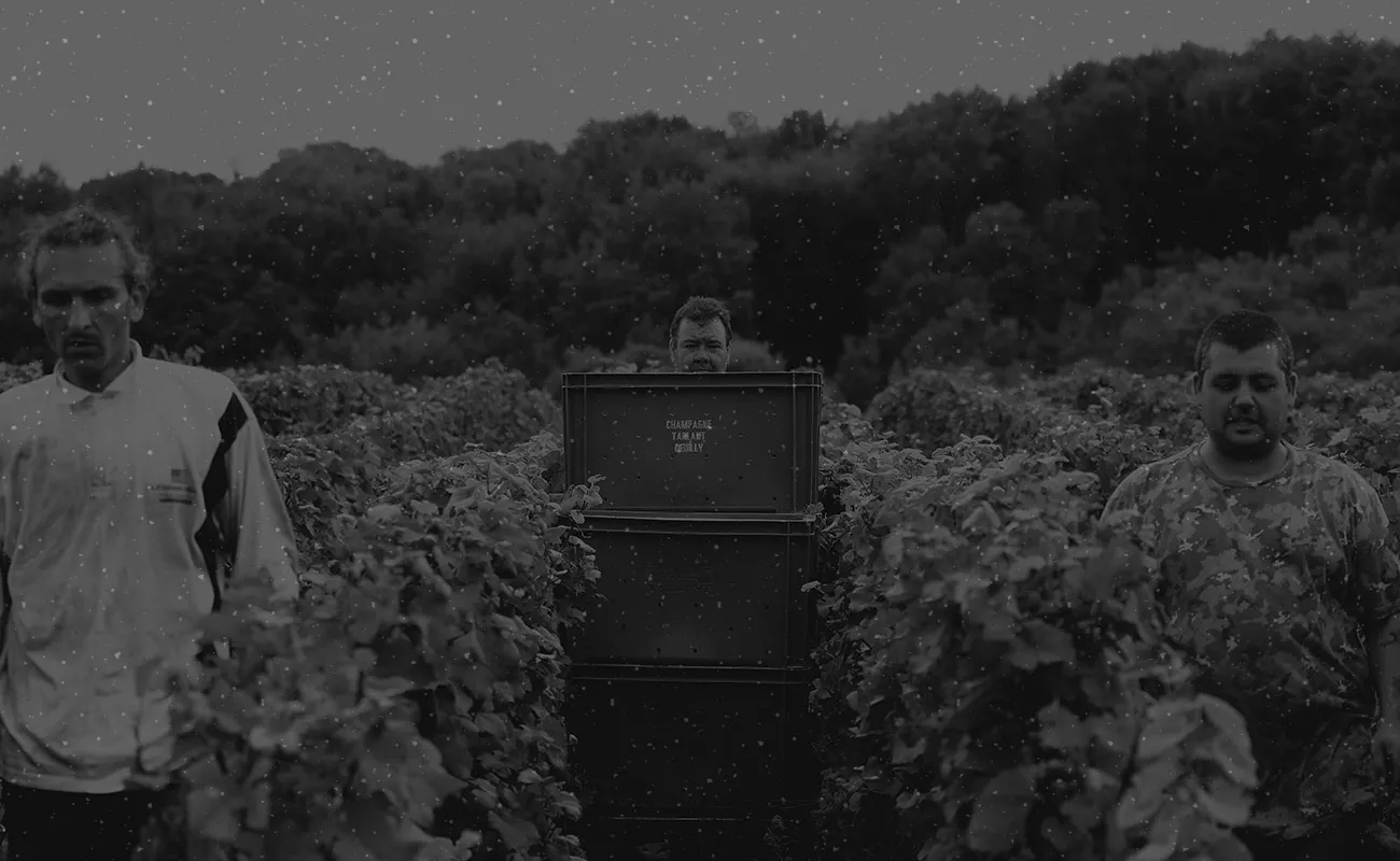 Photo de Benoît & Mélanie Tarlant