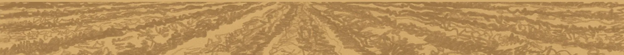 Bandeau CANTINA VILLA GIANNA