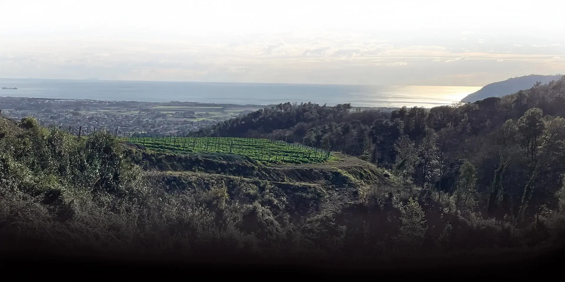 Bandeau CANTINE LUNAE BOSONI SCI