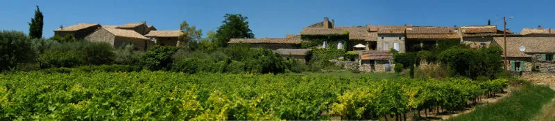 CAVE COOPERATIVE DE MEGIERS SABRAN