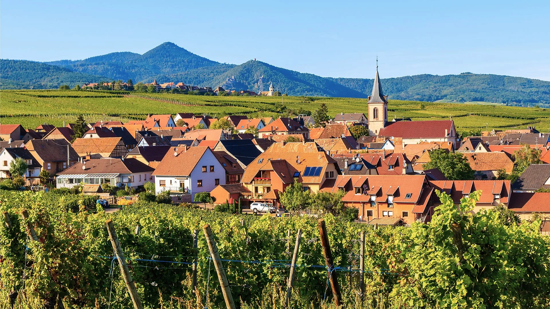 Bandeau CAVE DE BEBLENHEIM