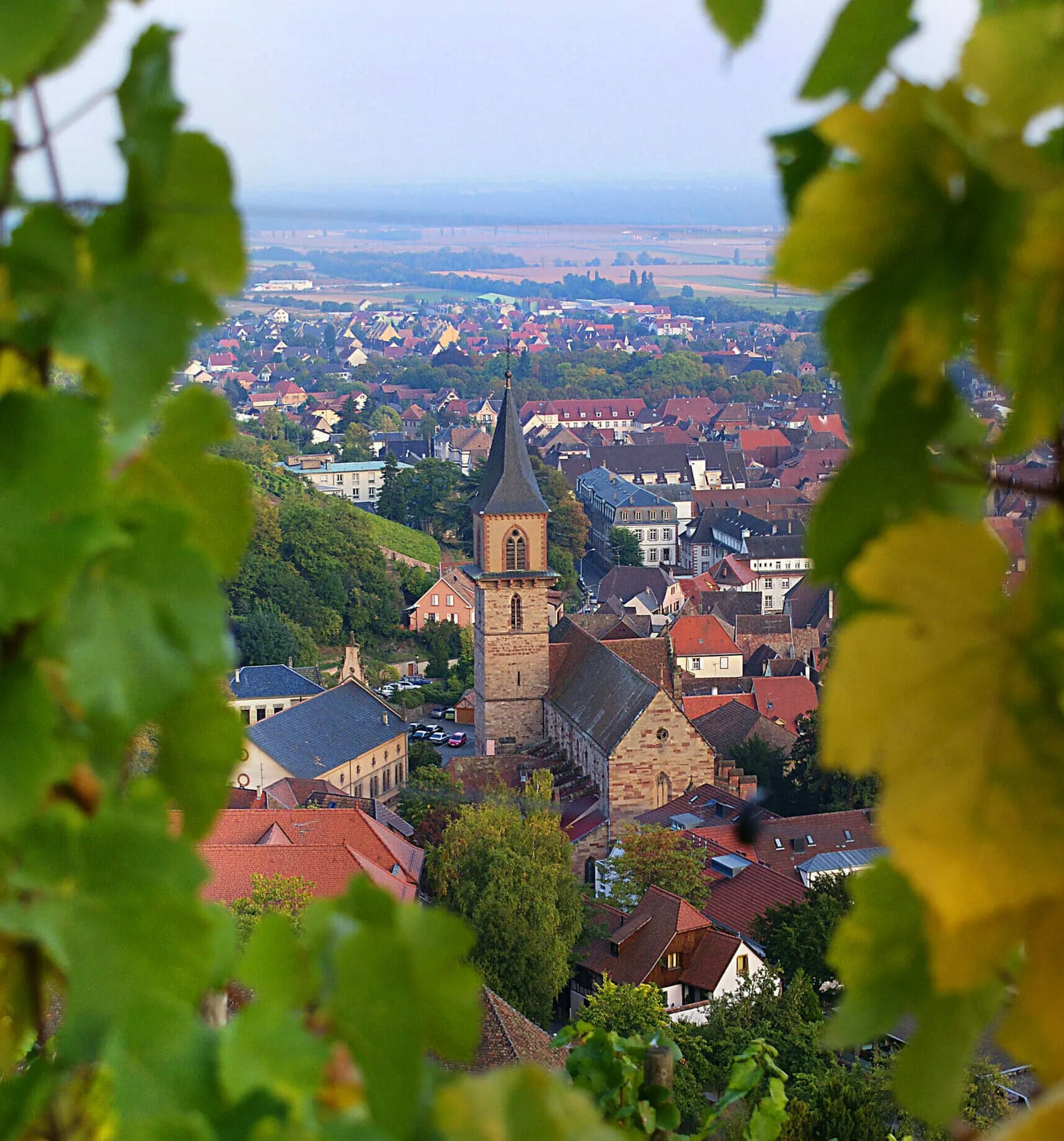 CAVE DE RIBEAUVILLÉ
