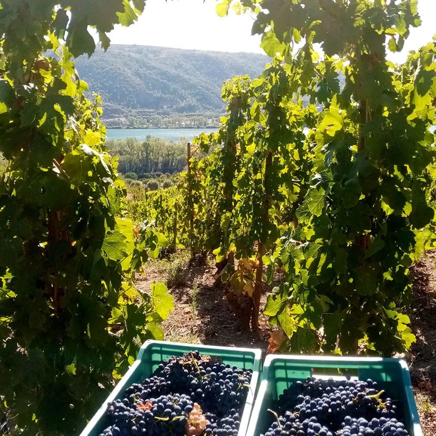 CAVE JAMET Catherine & Pascal