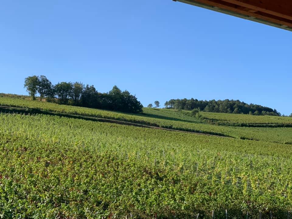 Photo de Champagne Achille Chrétien