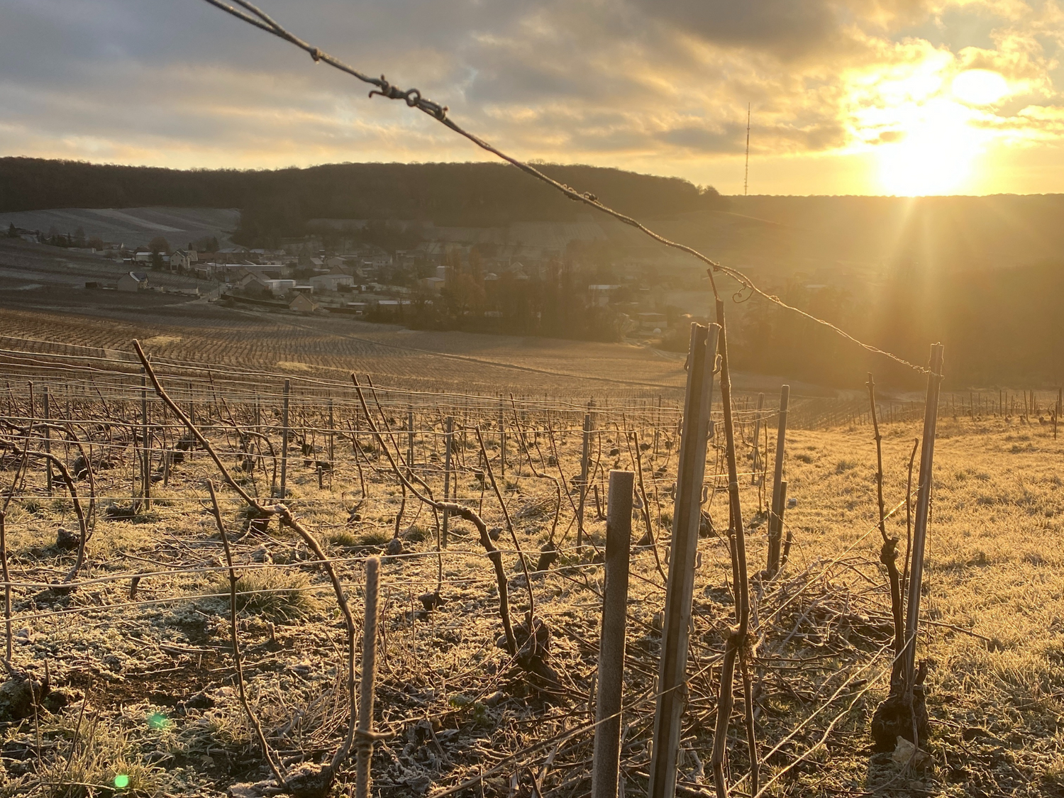 Photo de Champagne Boude Baudin