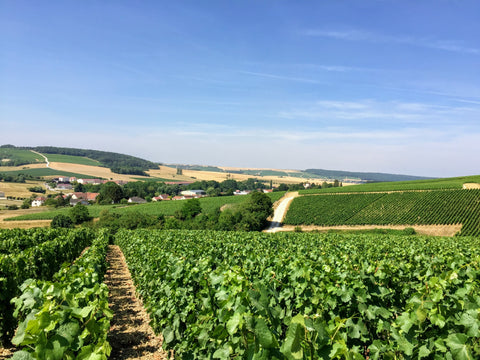 Photo de CHAMPAGNE G.M. HERARD CHAMPAGNE