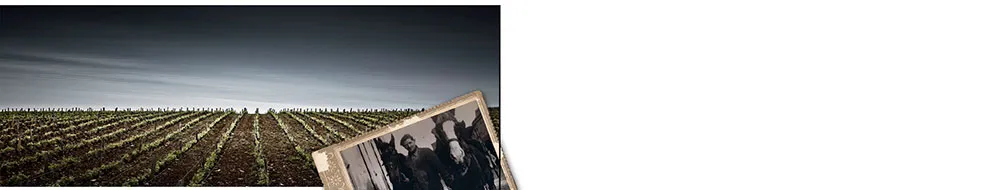 Bandeau Champagne J. Gobance