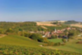 Bandeau Champagne Nicolas Bass