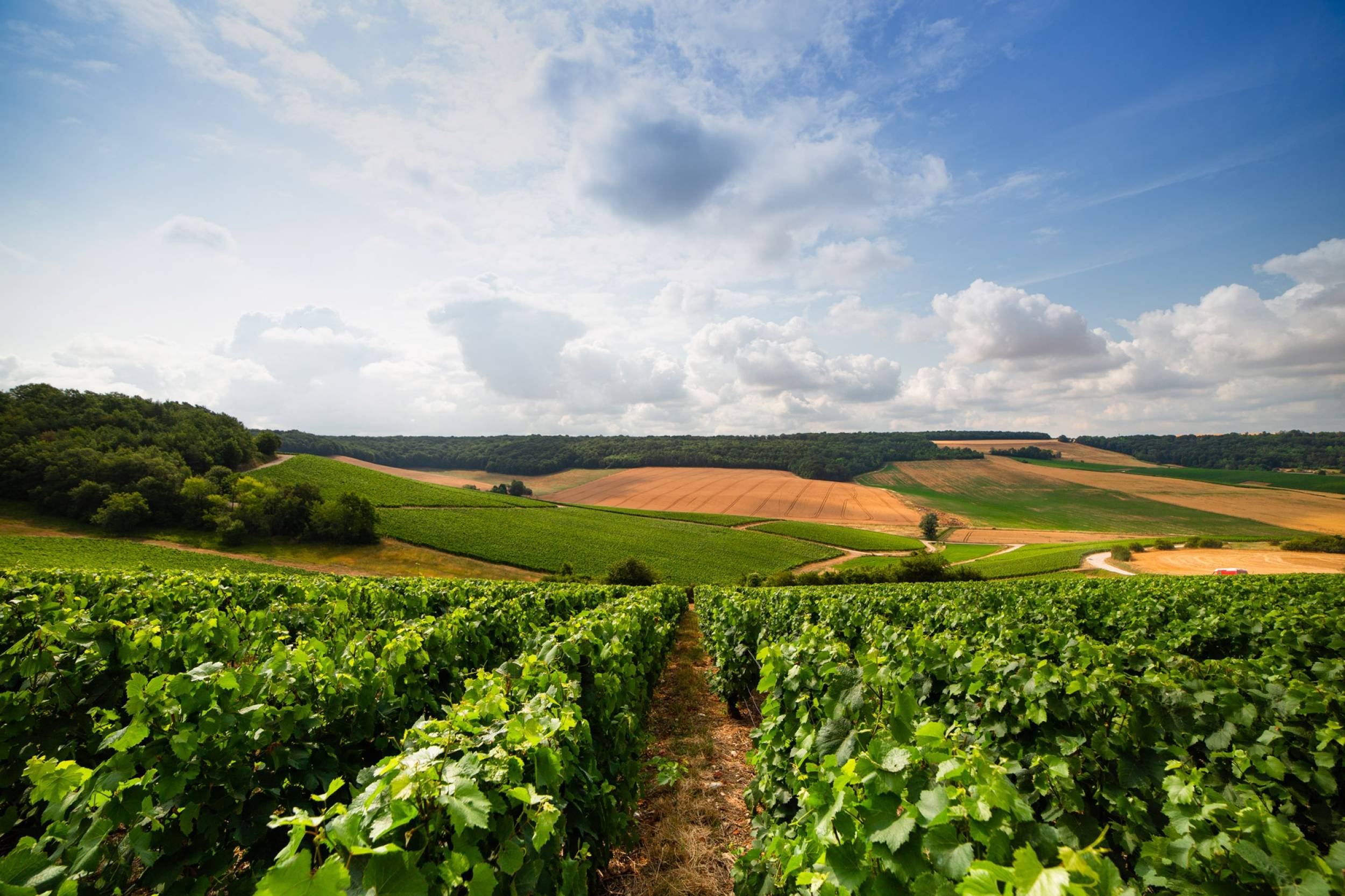 Bandeau Champagne Soret Devaux