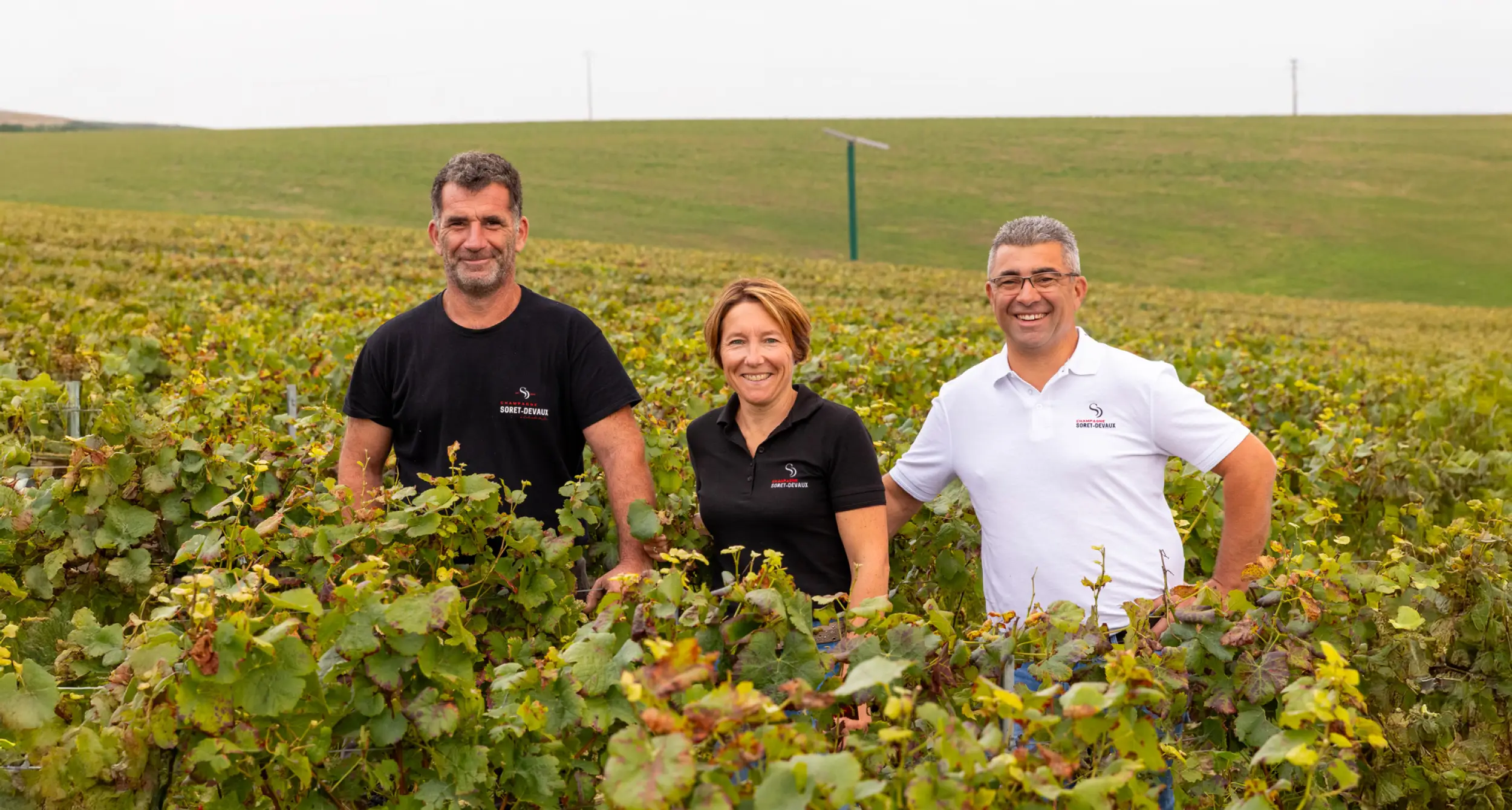 Photo de Champagne Soret Devaux