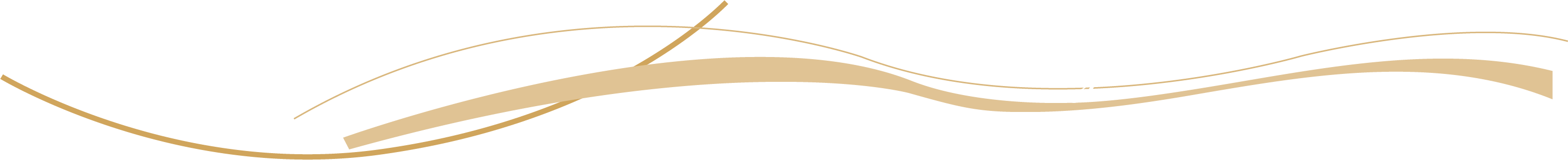 Champagne Yves Jacques