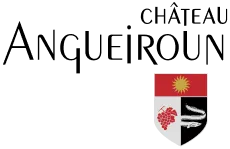Château Angueiroun
