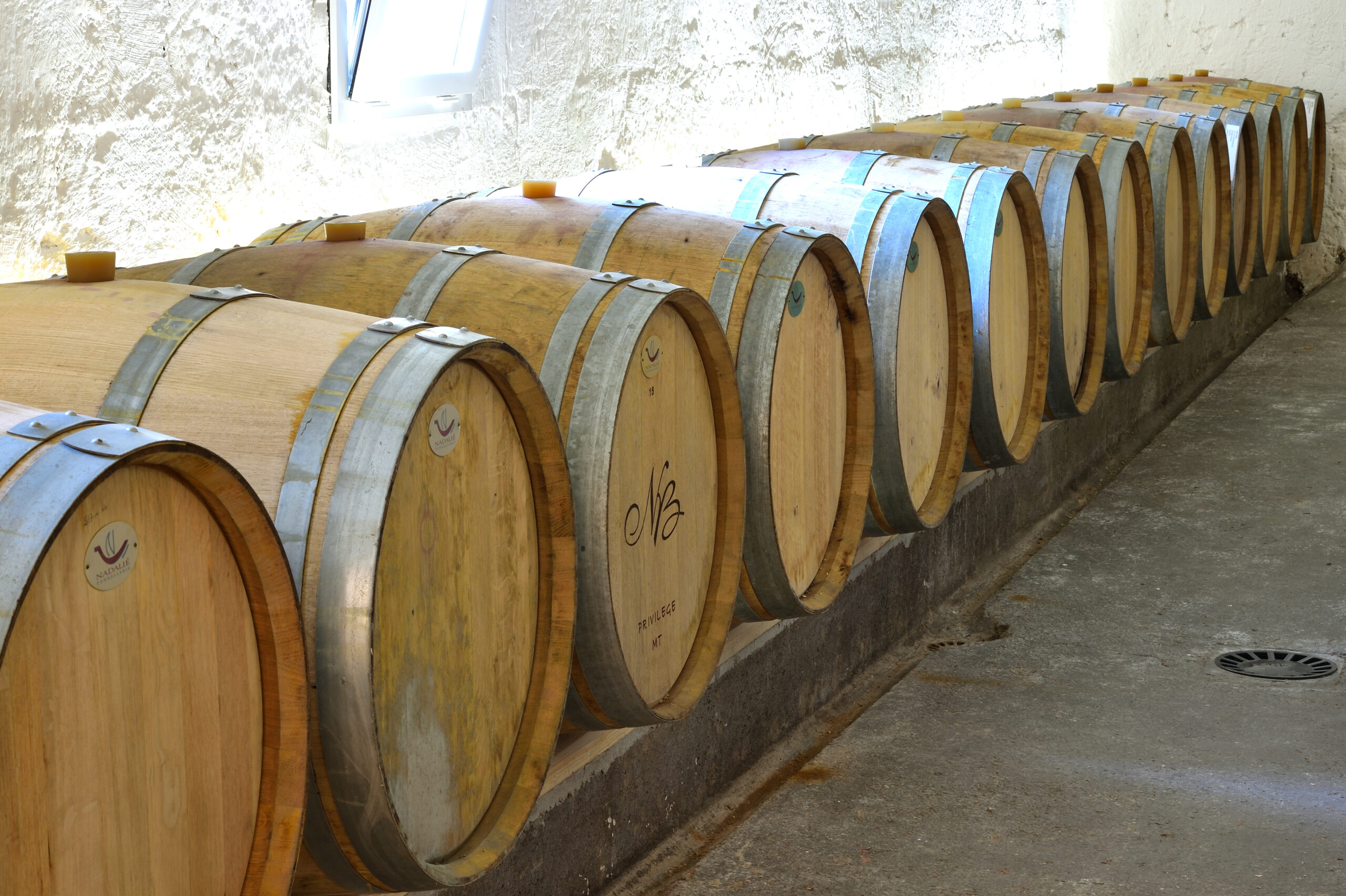 Photo de CHATEAU BARRABAQUE Divin Canon