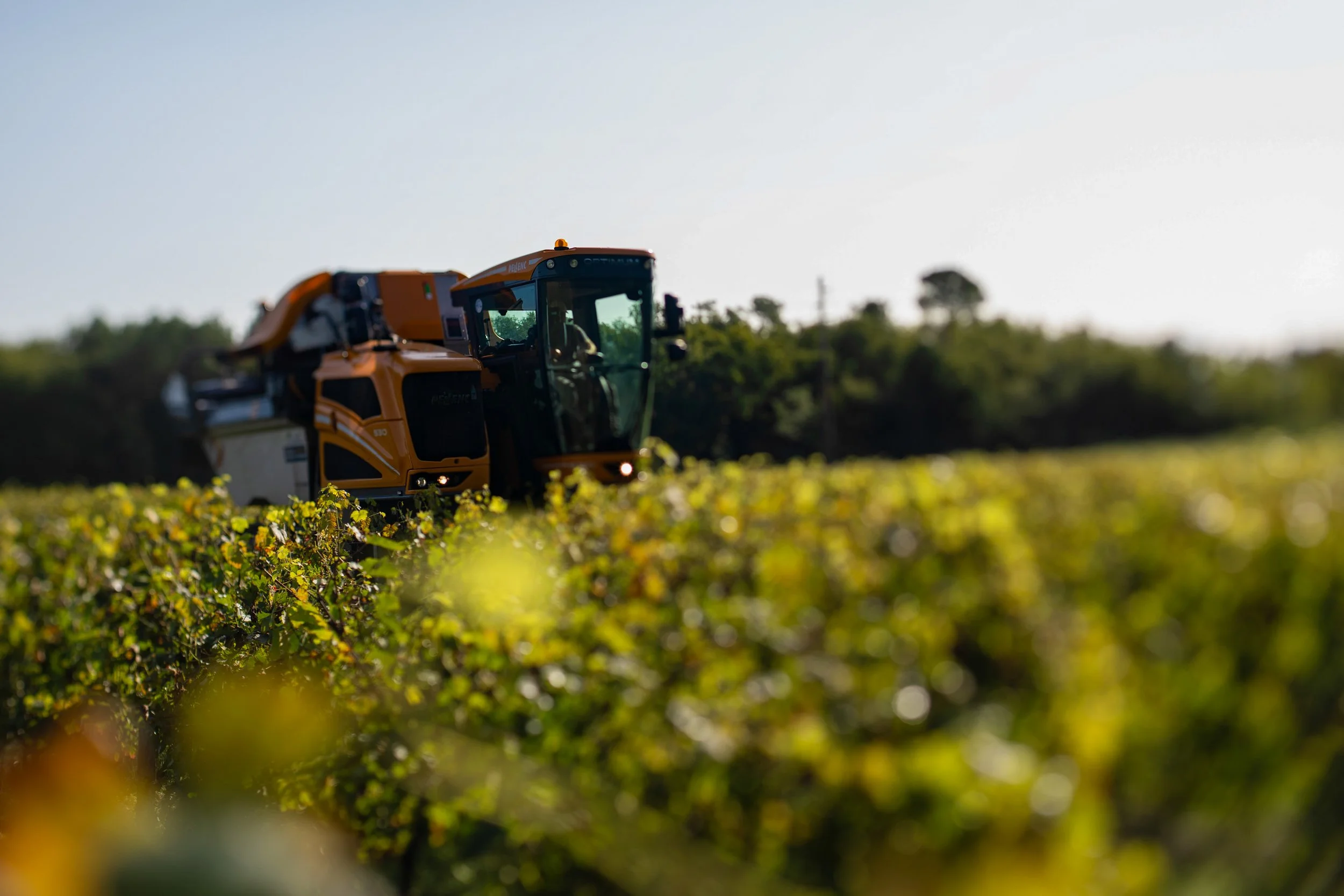 Château Bertrand Braneyre