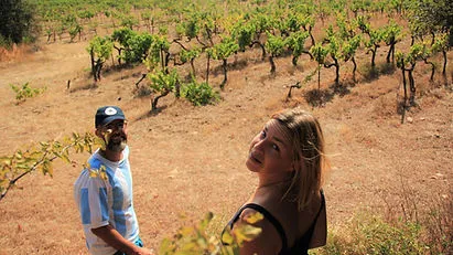 CHÂTEAU BOUCARUT Saskia Goetschy