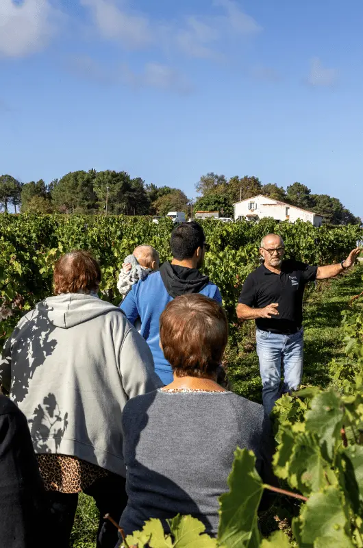 Photo de CHATEAU CAILLETON