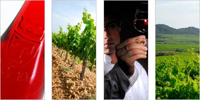 Logo Château Correnson