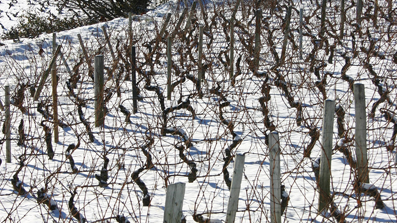 Bandeau Château d'Emeringes