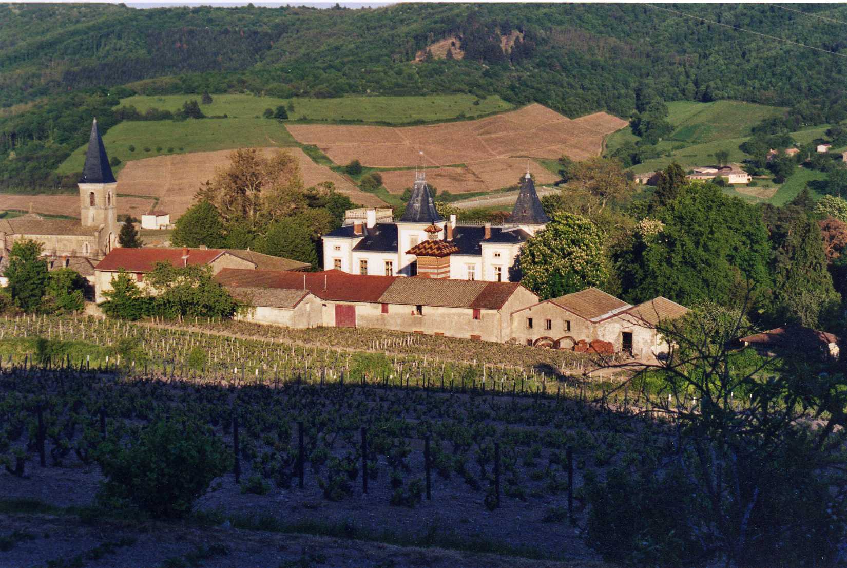 Château d'Emeringes