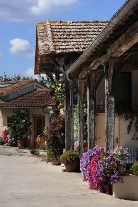 Photo de CHÂTEAU DE BUDOS