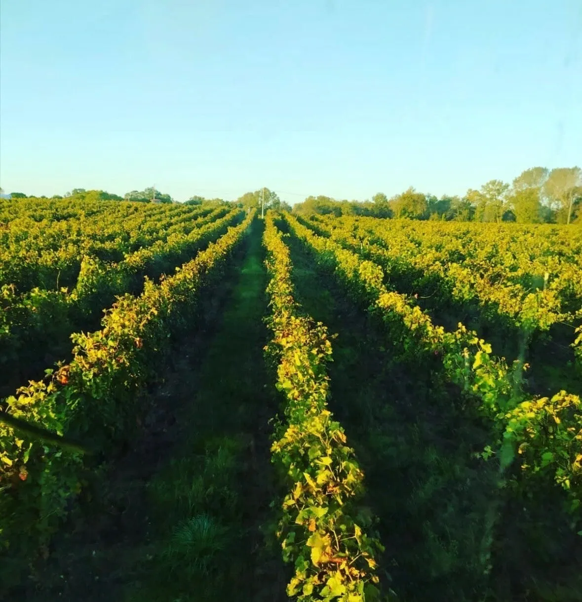 Logo Château de l’Evasion