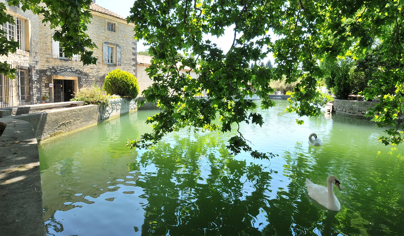 Bandeau Château de la Genestière