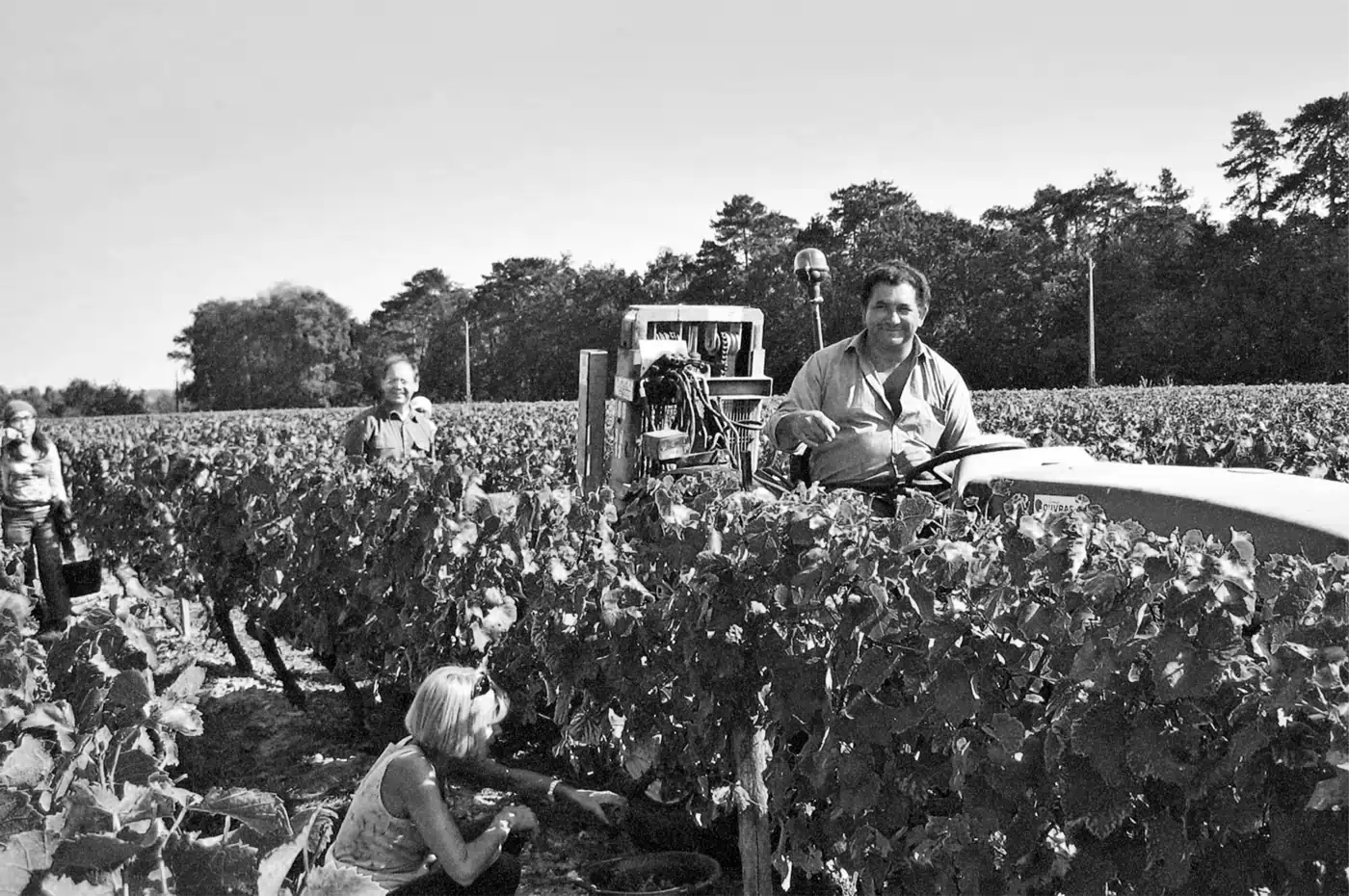 Photo de Château de Nitray