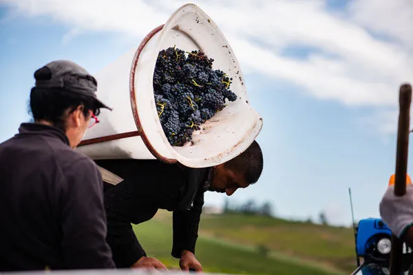 Bandeau Château de Raousset Axel JOUBERT