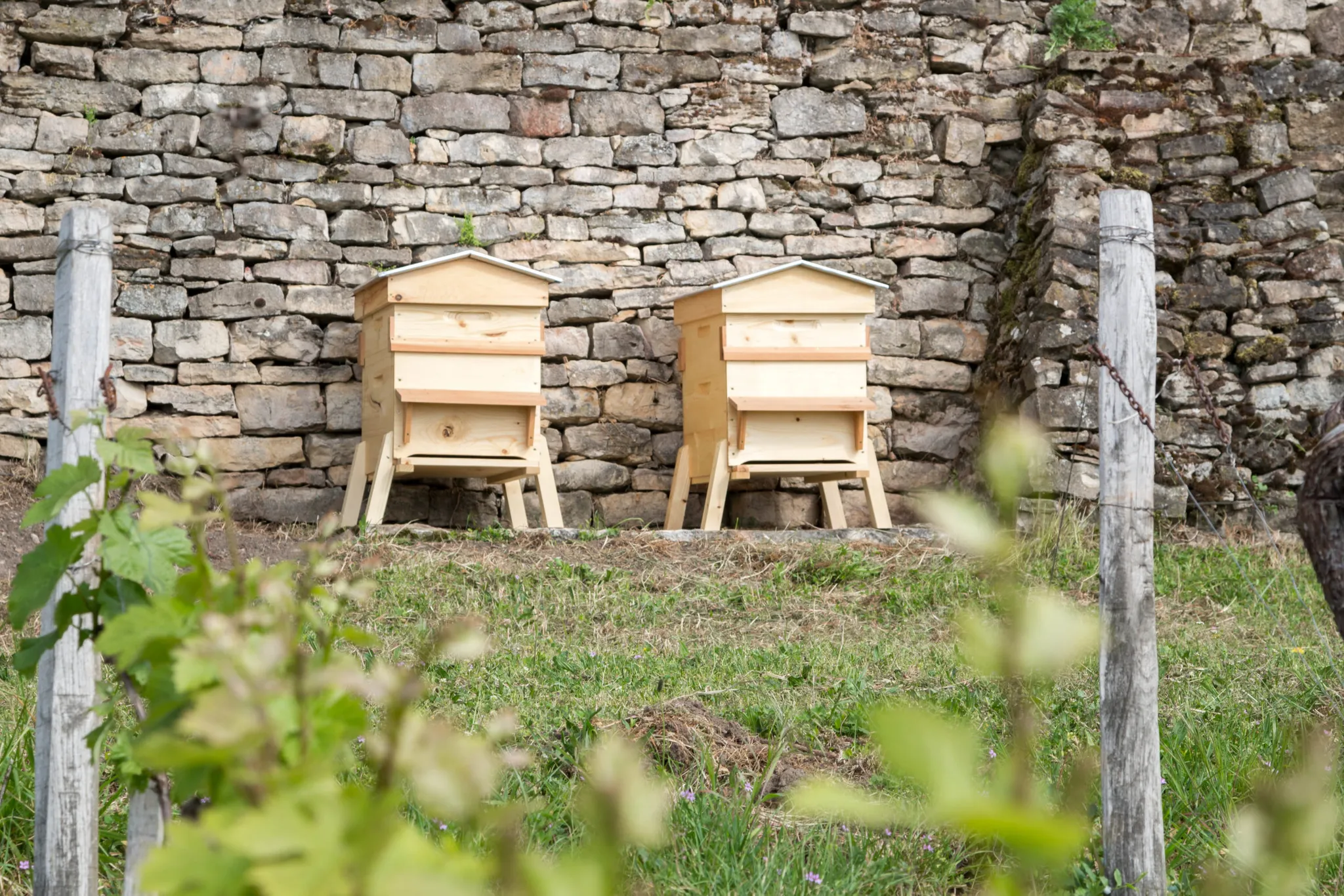Photo de Château De Rougeon