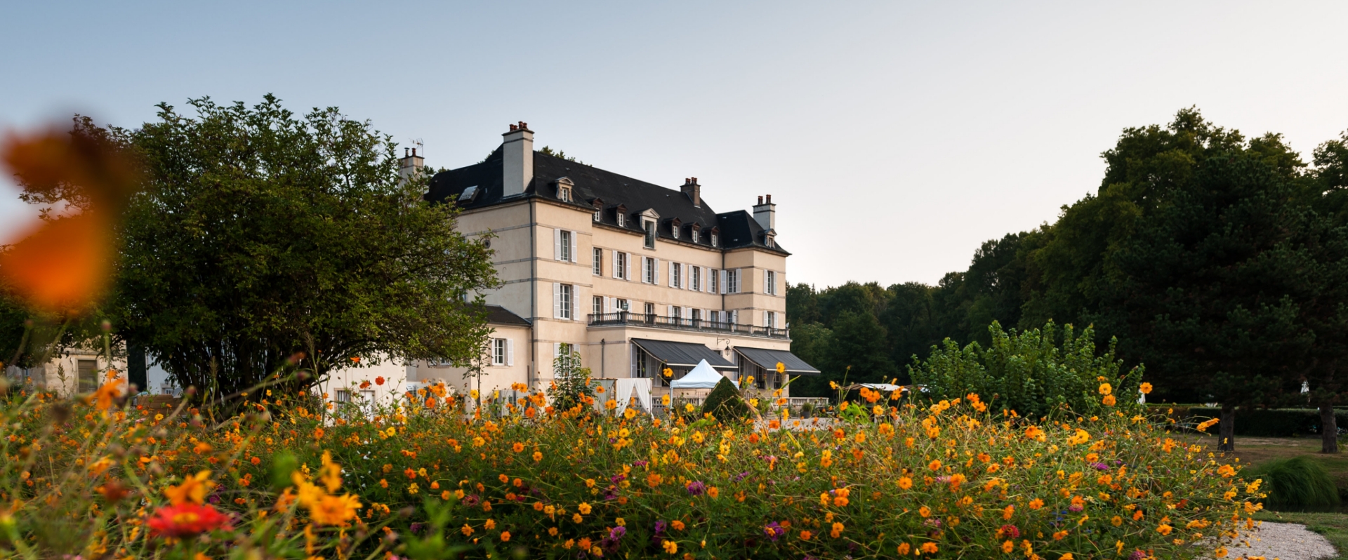 Photo de Château de Saulon