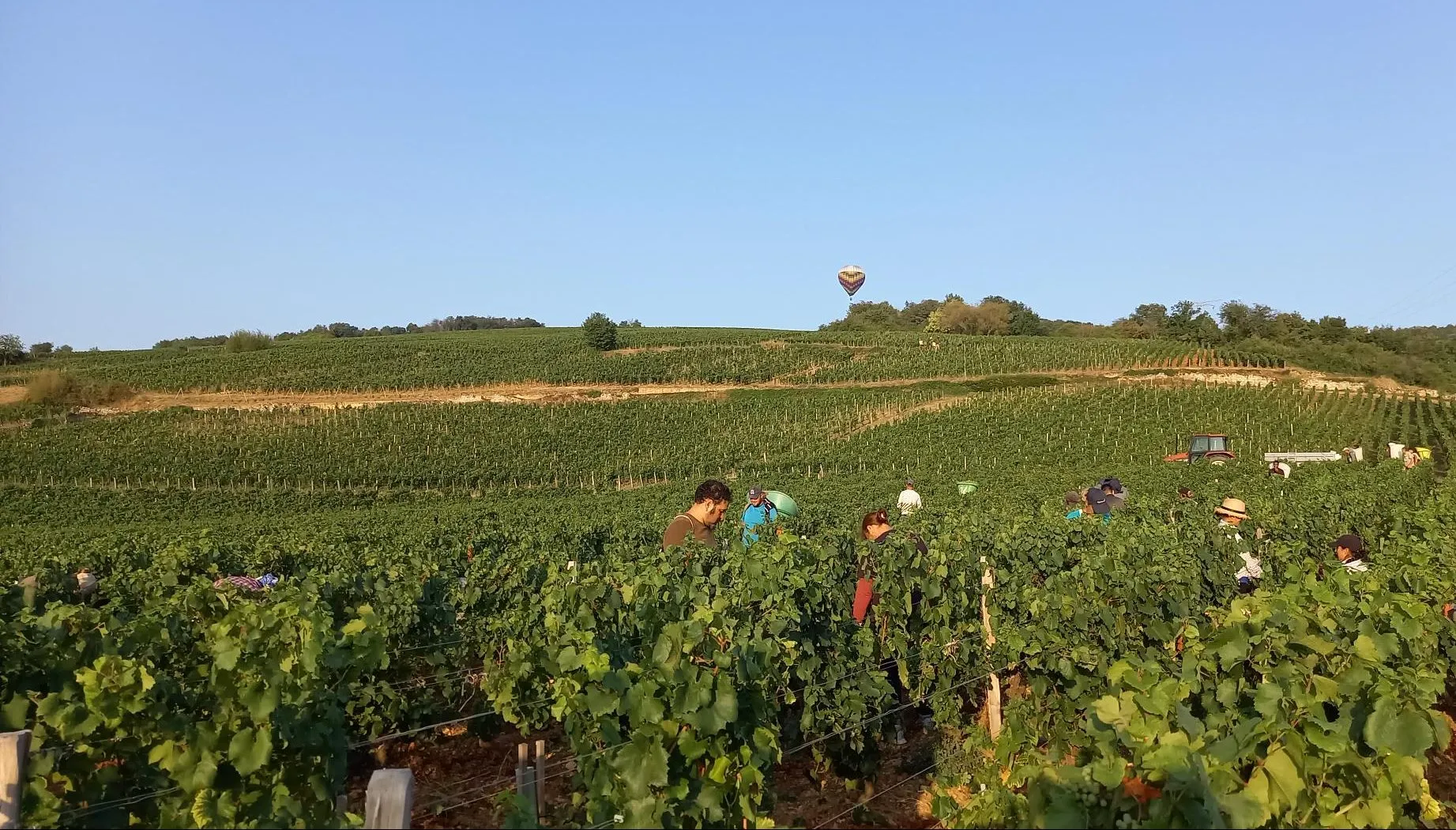 Photo de CHATEAU DE TERRIDEPOUILLY-FUISSÉ