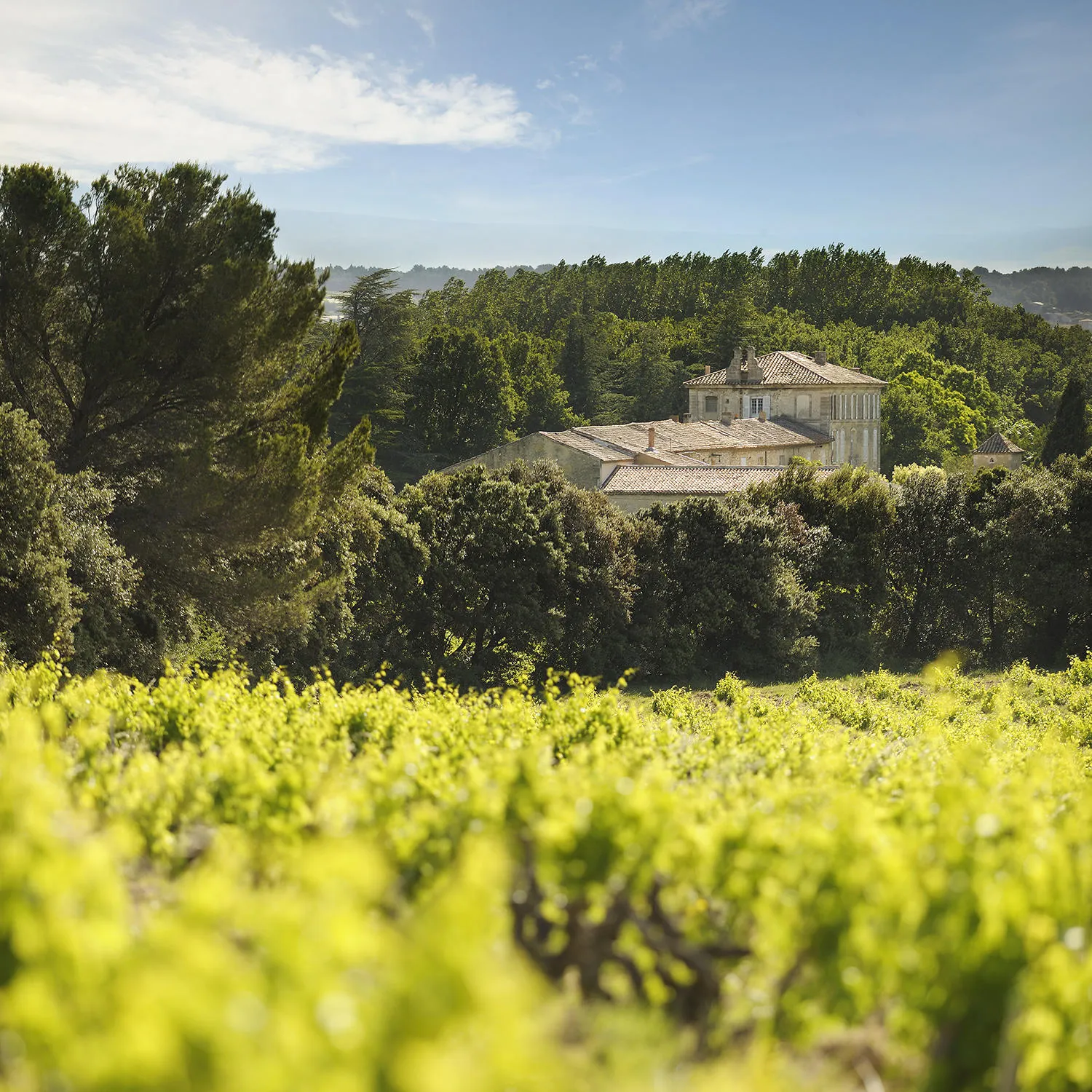 Photo de Château de Trinquevedel
