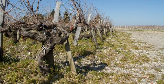 Bandeau Château des Barraillots