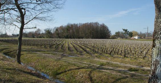 Logo Château des Barraillots