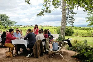 Bandeau Château des Moriers / Miss Vicky Wine Gilles et Anne-Victoire