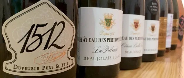 Château des Pertonnières Famille Dupeuble