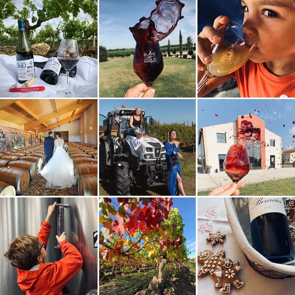 Château Haut Bourcier