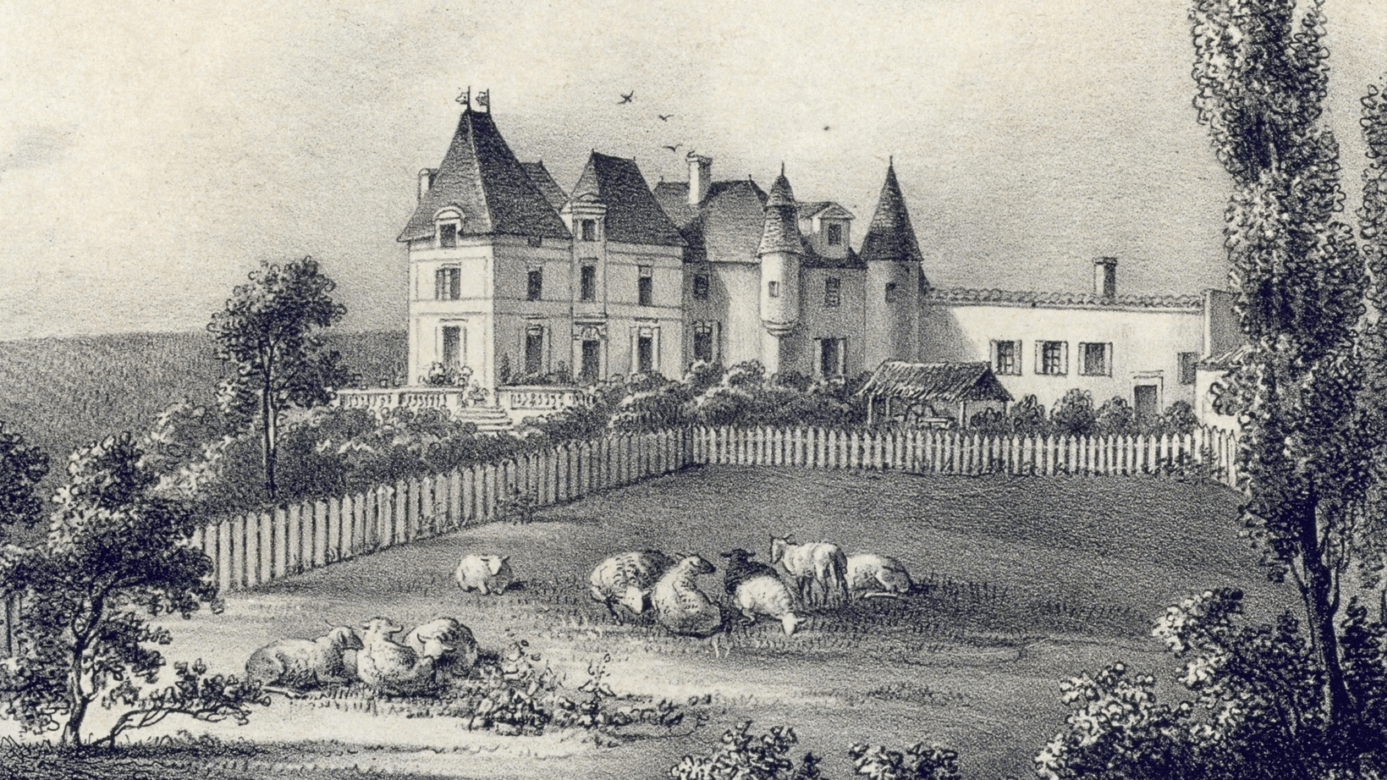 Photo de Château Haut-Brion