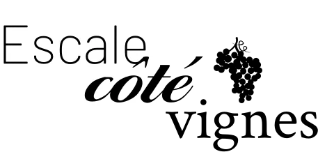 Bandeau Château Haut Fayan