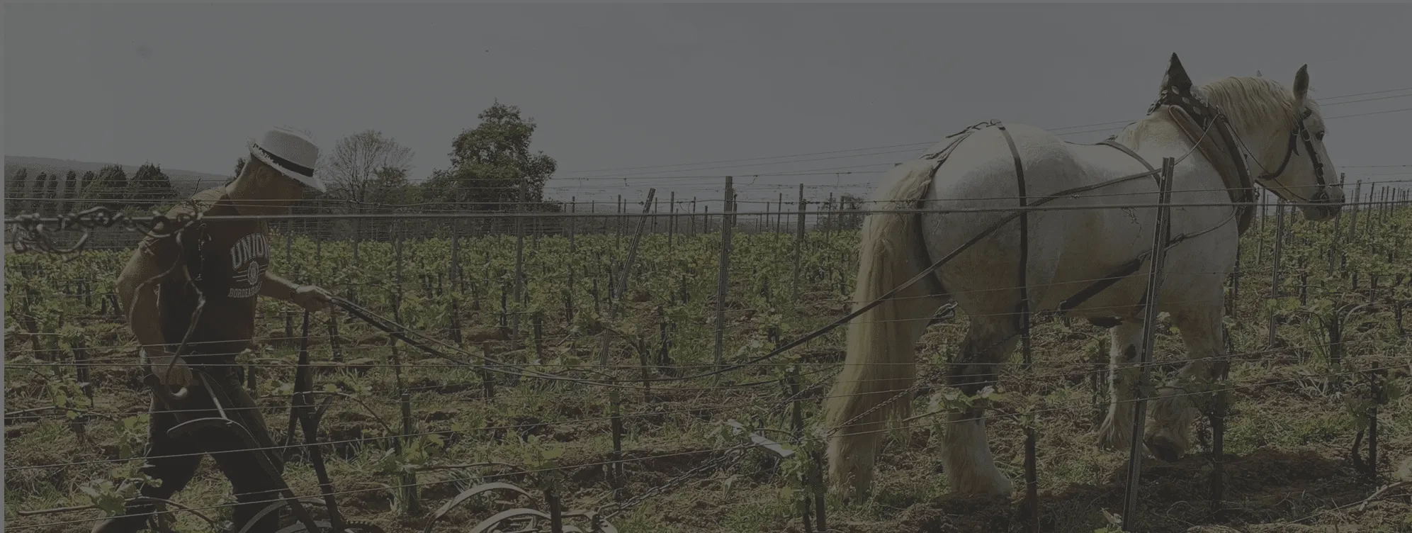 CHÂTEAU L’ESCARDERIE